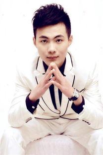 丁子贺的个人资料,才华横溢的青年才俊，多领域成就斐然